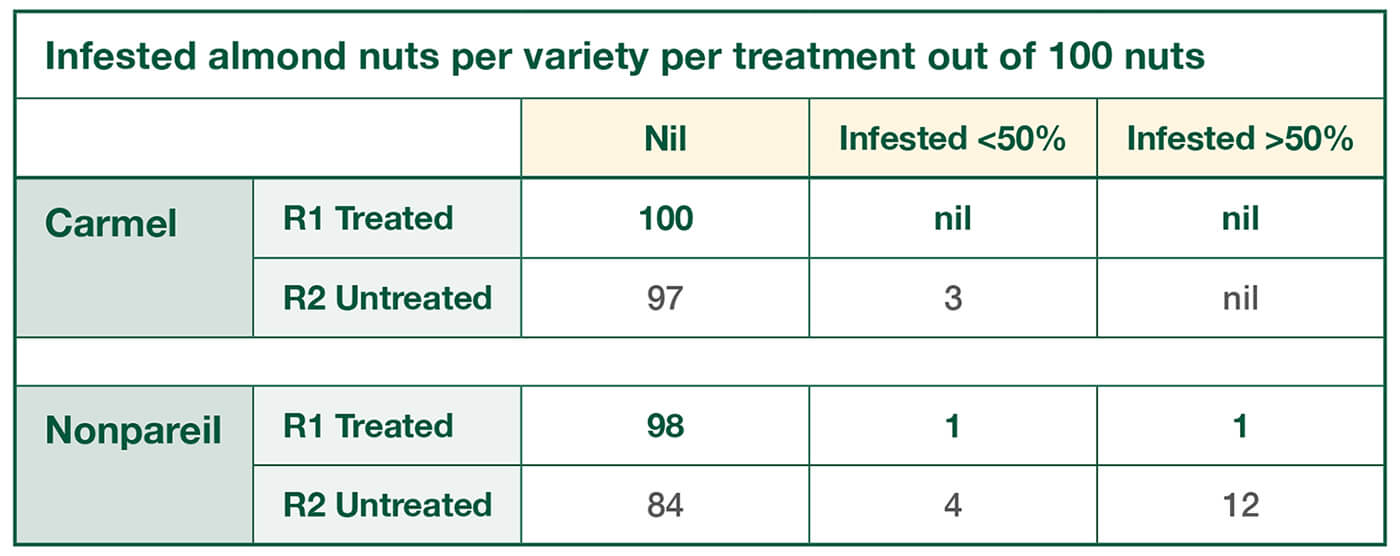 Infested almond nuts per variety per treatment out of 100 nuts