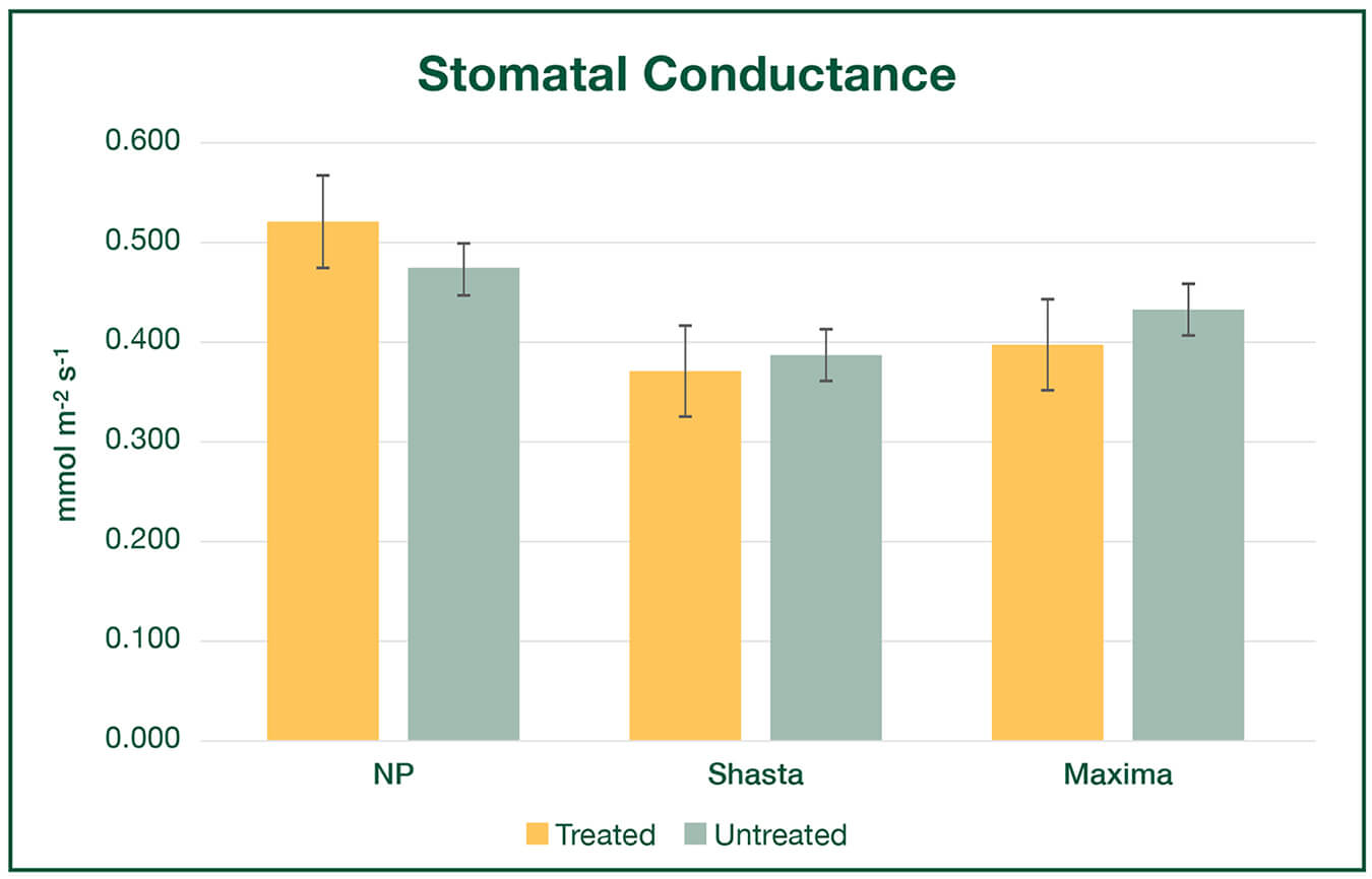 Stomatal Conductance Graph for Apples