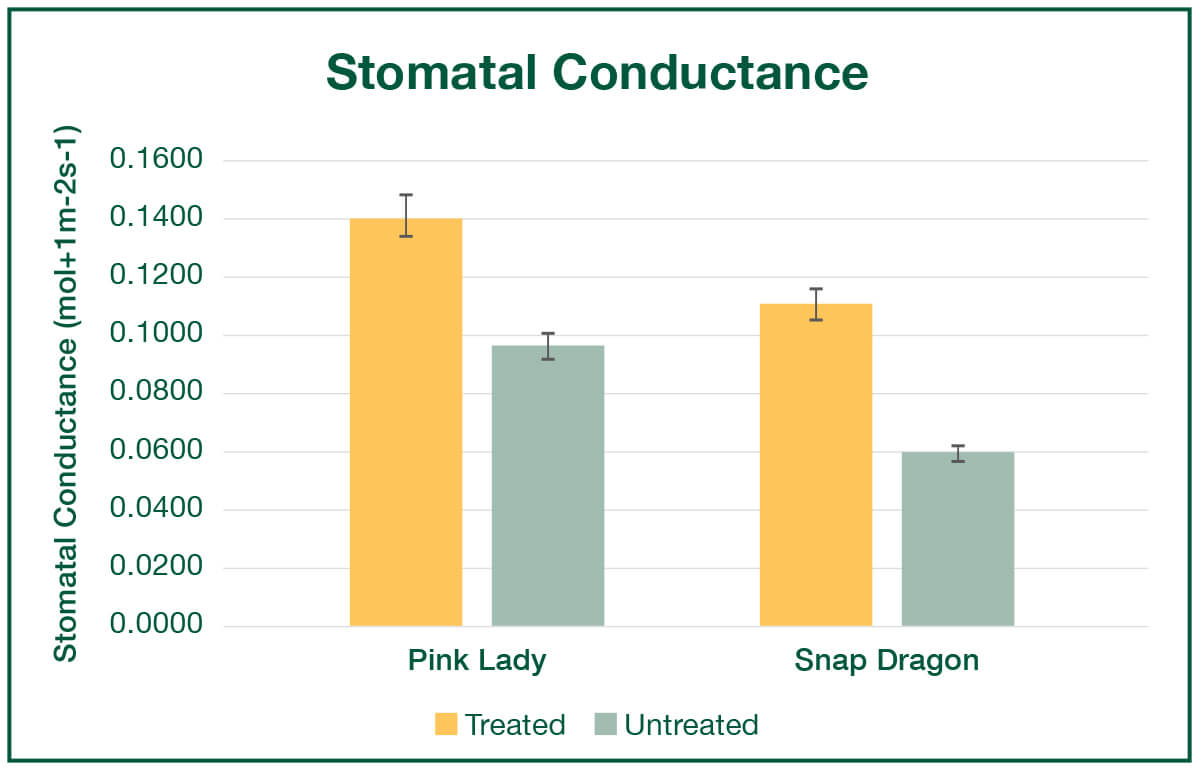 Stomatal Conductance Graph for Apples
