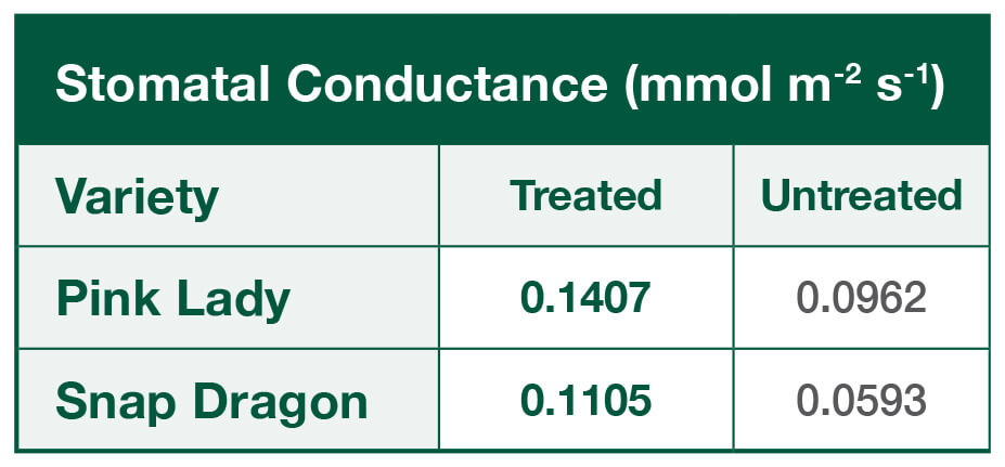 Stomatal Conductance Table Number 1 regarding demonstration for Apples in Adelaide Hills