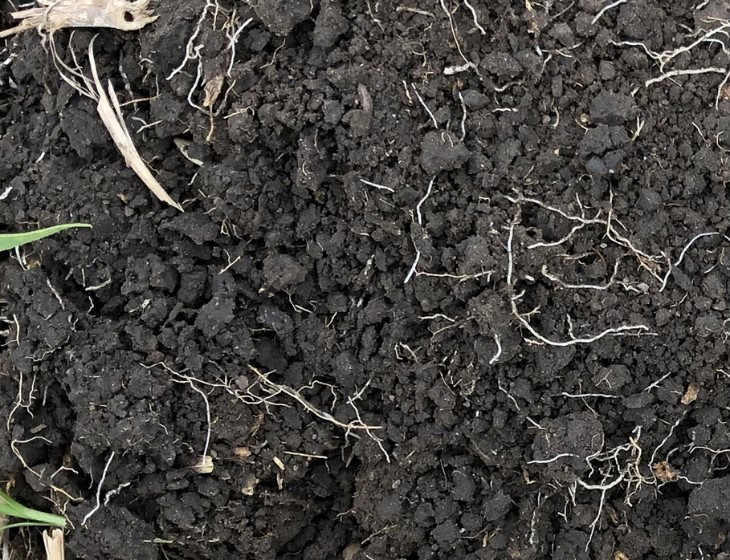 A well-aggregated soil provides many micro-habitats for soil microbes. Photo: Caley Gasch.