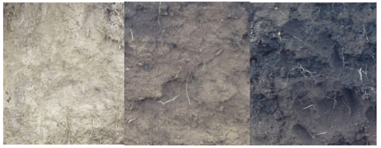 Examples of soil with less than 1%, 2% and 3% organic matter from left to right, respectively. Photo: Jodi DiJong-Hughes