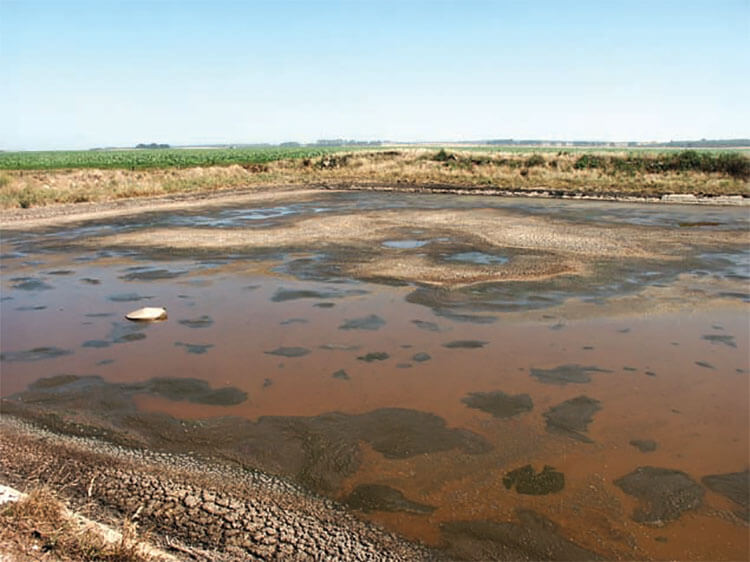 effluent pond at donovan dairies