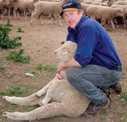Andrew Forrest checks three-month-old White Suffolk-Merino first cross lambs at ‘Columbia Park’, Corobimilla, NSW.