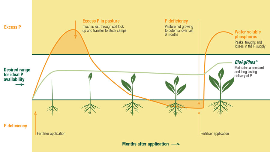 Phosphorus availability diagram showing Bioag releasing phosphorus over a steady peroid of time to reduce leaching