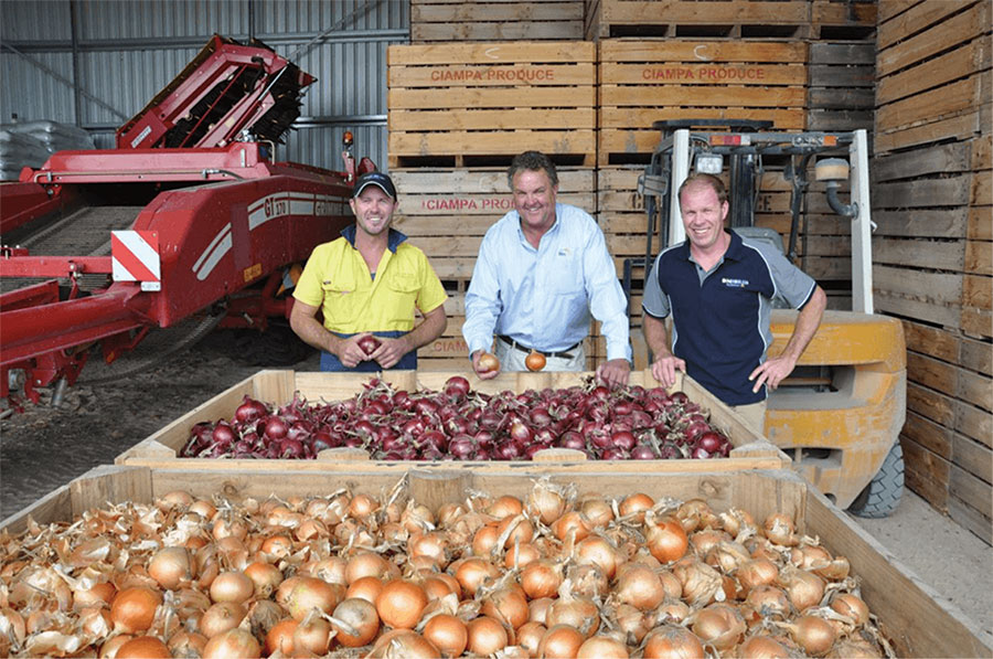Ciampa Produce team with BioAg staff member Phil Toy standing over carton of onions