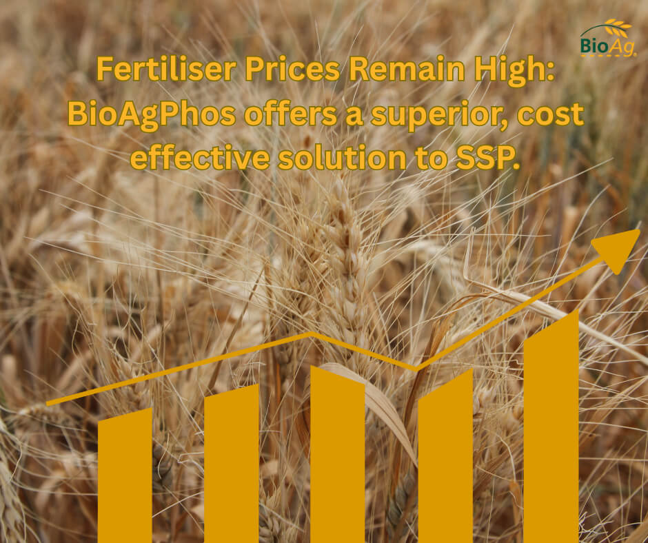 Slobodan Vujovic BioAg Area Manager