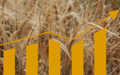 Navigating Phosphate Prices