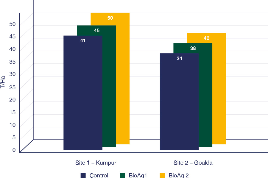 Kolkata banana trial - graph