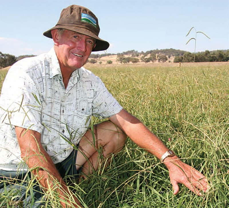 Lindsay Humphry’s pastures contain more than 30 different species.