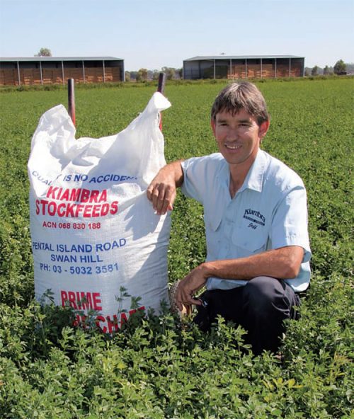 Andrew Forrest inspects Buloke barley