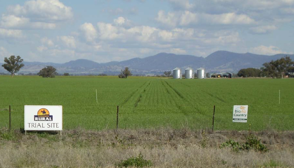 A green paddock surrounded by a fence with signs that read 'BioAg' and 'Tamworth Rural trial site'. There are wheat silos in the background