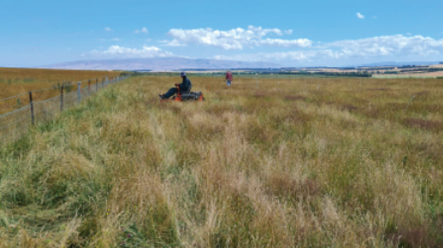 NZ Pasture Trial – significant results