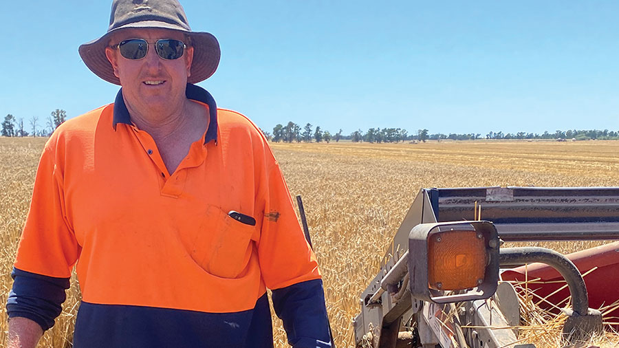 Andrew Forrest stands in wheat field