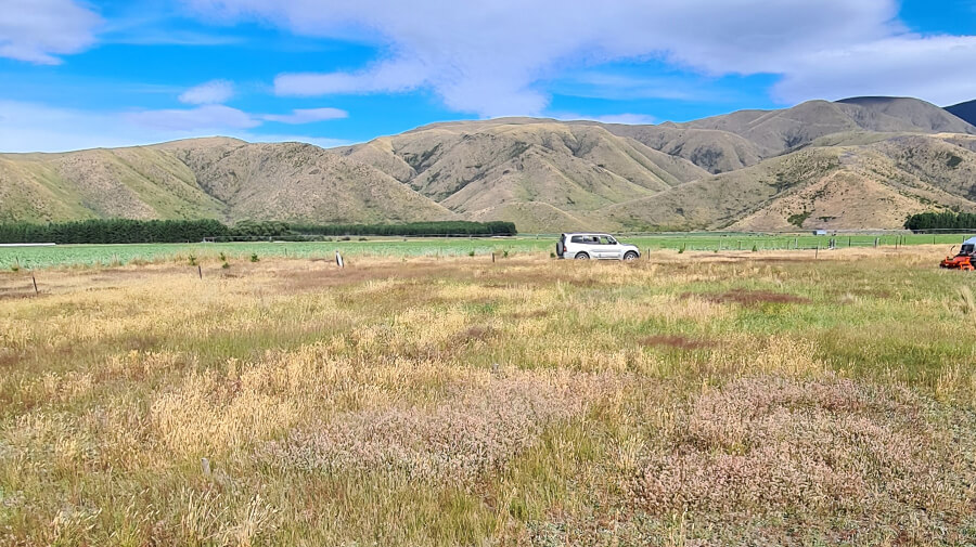 Significant New Zealand trial results